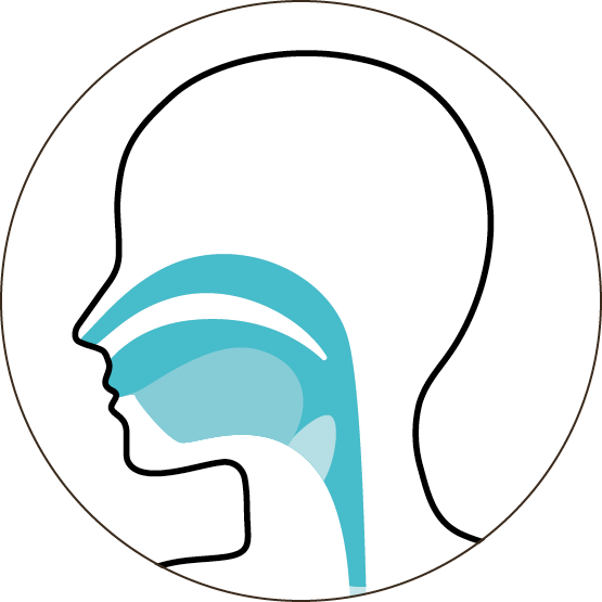 Illustration of a human head profile showing the nasal and oral passages highlighted in blue.